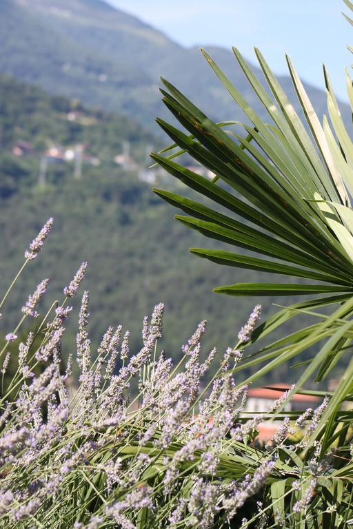 Bed and Breakfast Balcone Fiorito Menaggio Exterior foto