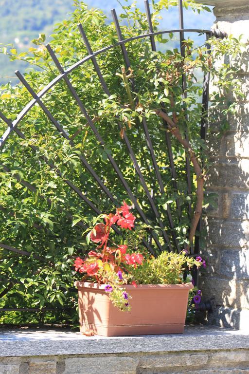 Bed and Breakfast Balcone Fiorito Menaggio Exterior foto